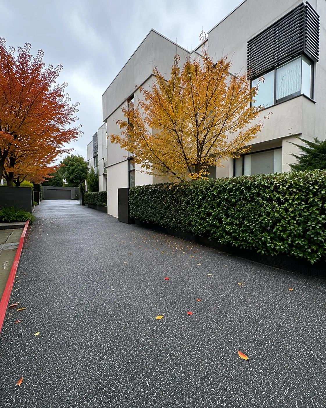 Asphalt driveway running the length of a Melbourne property beside a clipped hedge