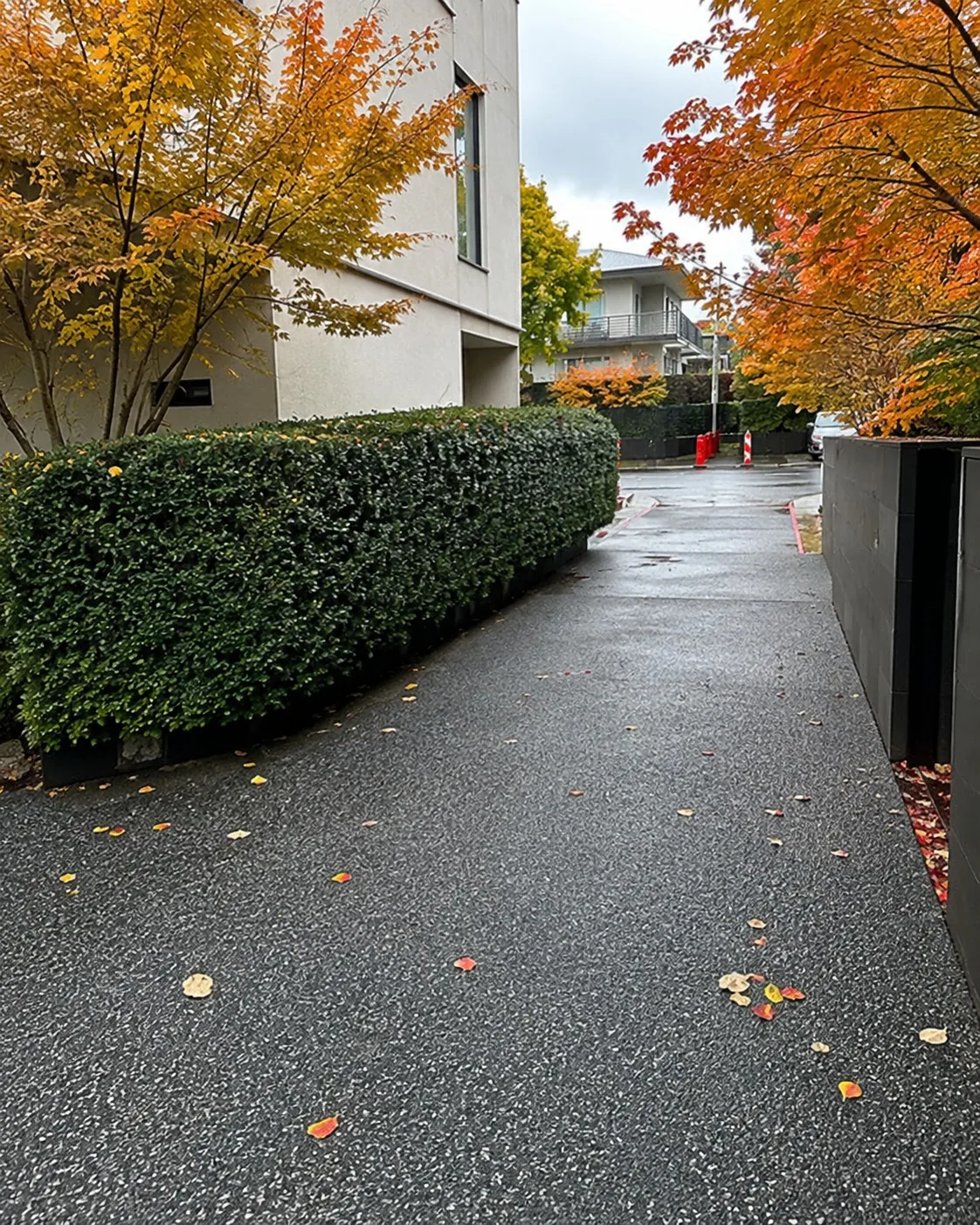 Wet asphalt driveway running past a clipped hedge on a Melbourne property